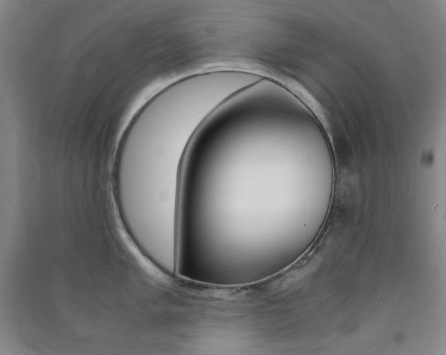 X0000091491005200708161206