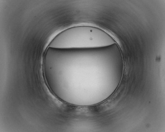 X0000091491006200708161206