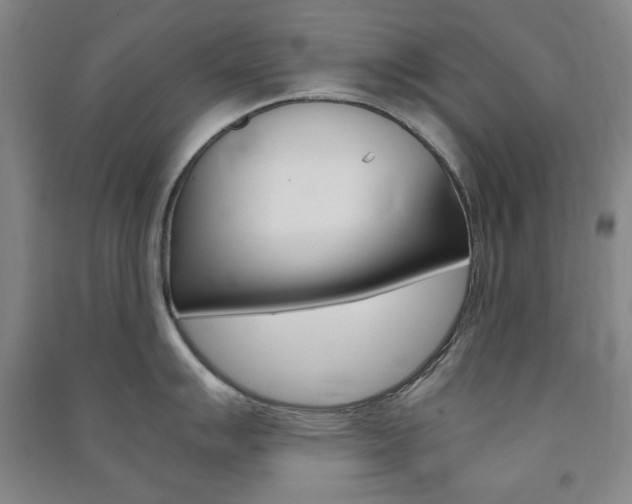 X0000091491007200708161206