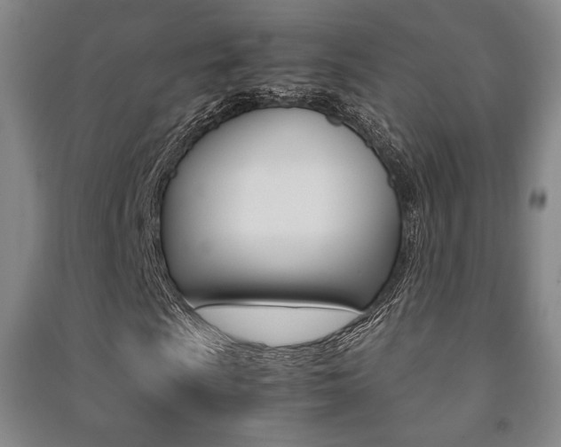 X0000091491009200708161206