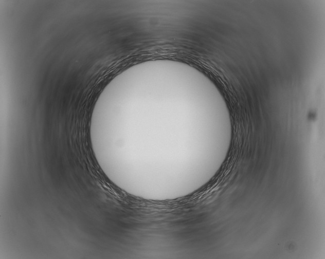 X0000091491010200708161206