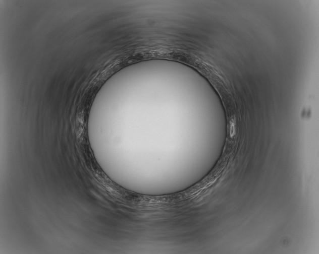 X0000091491011200708161206