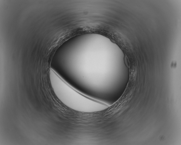 X0000091491012200708161206