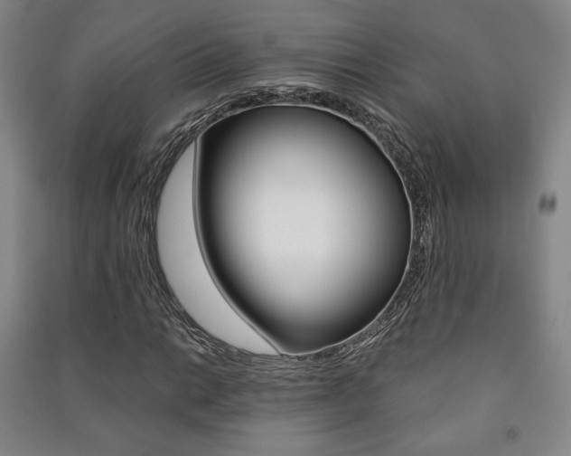 X0000091491014200708161206