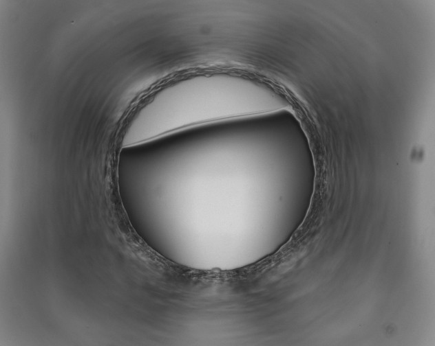 X0000091491016200708161206