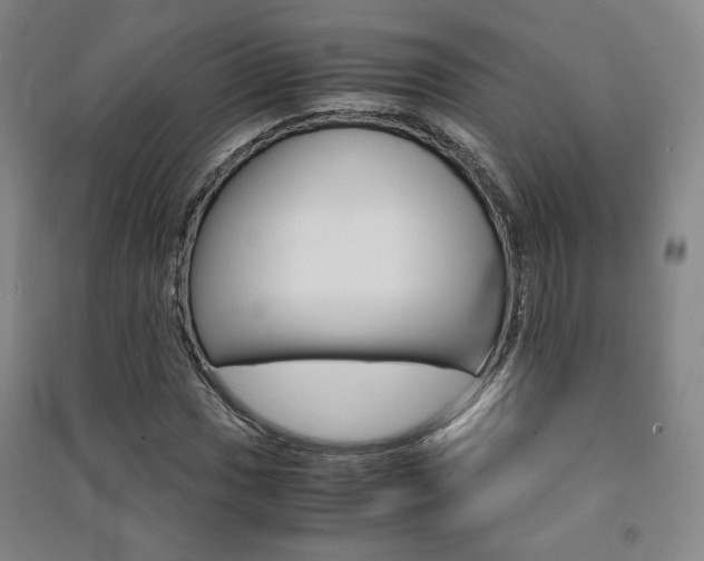 X0000091491017200708161206