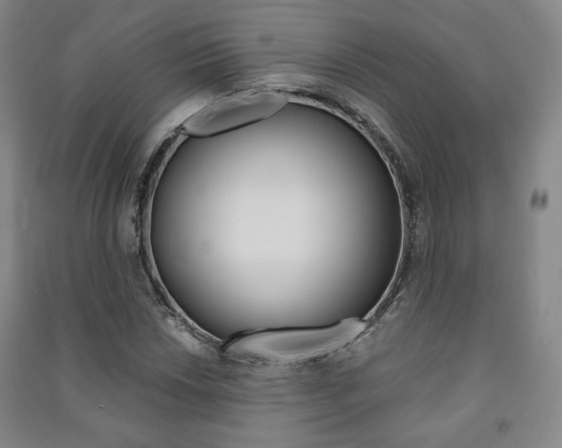 X0000091491018200708161206
