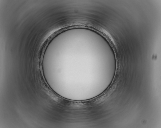 X0000091491019200708161206