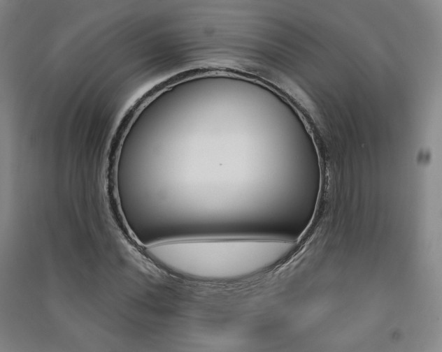 X0000091491020200708161206