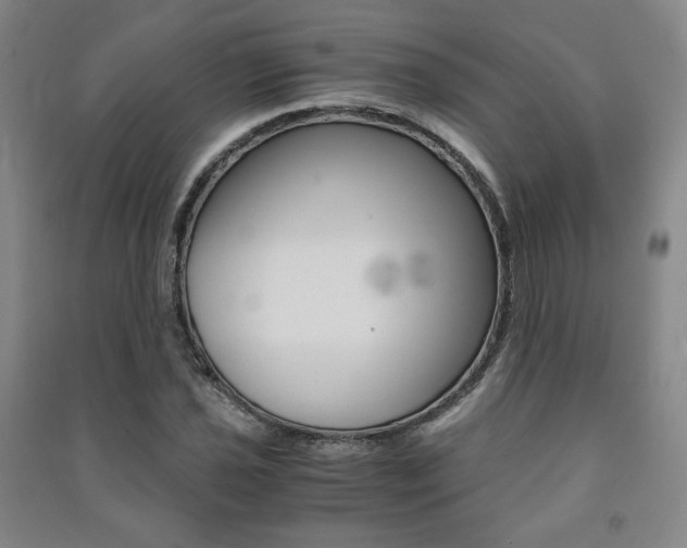 X0000091491021200708161206