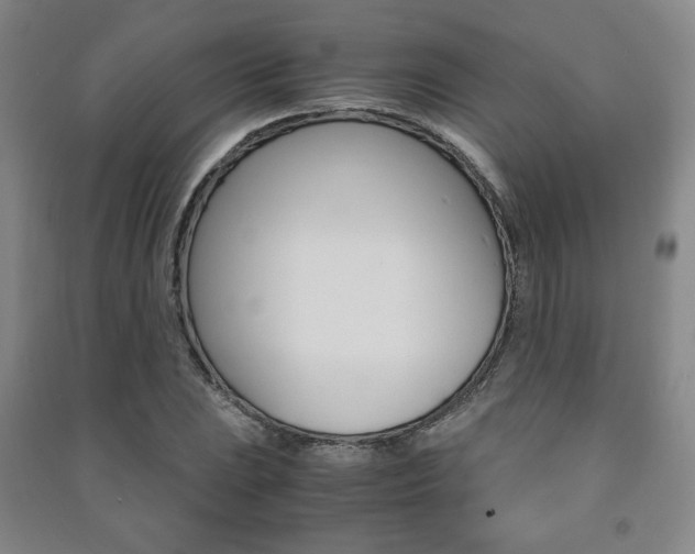 X0000091491023200708161206