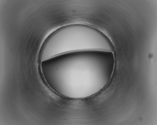 X0000091491024200708161206