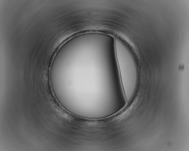 X0000091491025200708161206