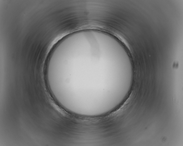 X0000091491026200708161206