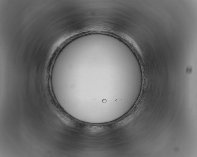 X0000091491027200708161206