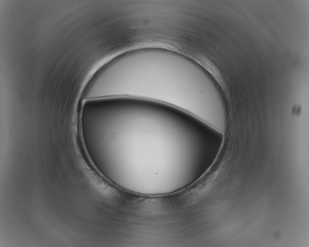 X0000091491028200708161206
