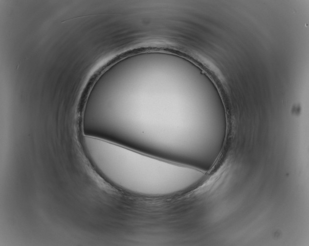 X0000091491029200708161206