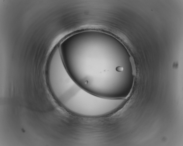 X0000091491030200708161206
