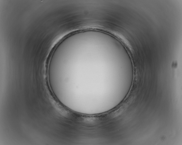 X0000091491031200708161206