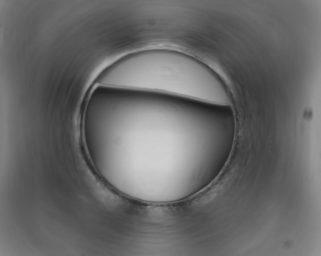 X0000091491032200708161206