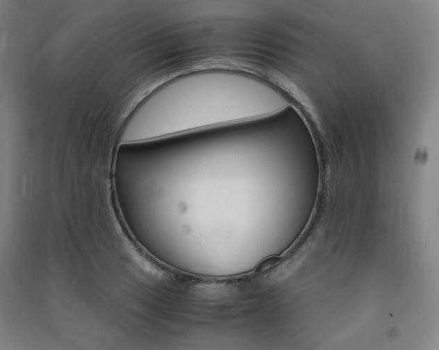 X0000091491033200708161206
