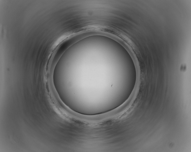 X0000091491034200708161206
