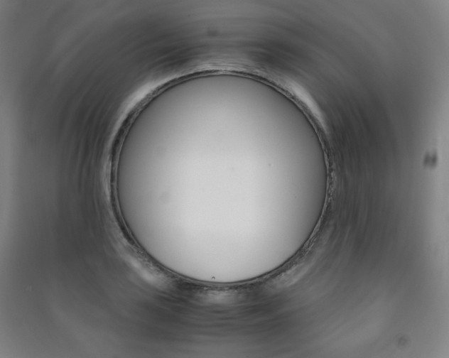 X0000091491035200708161206