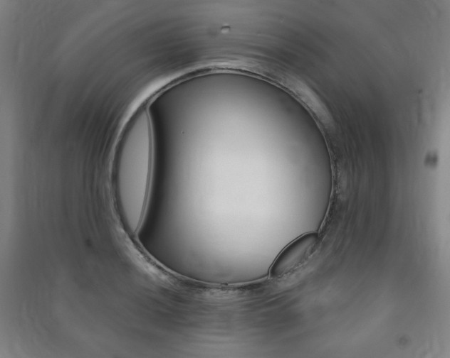 X0000091491036200708161206