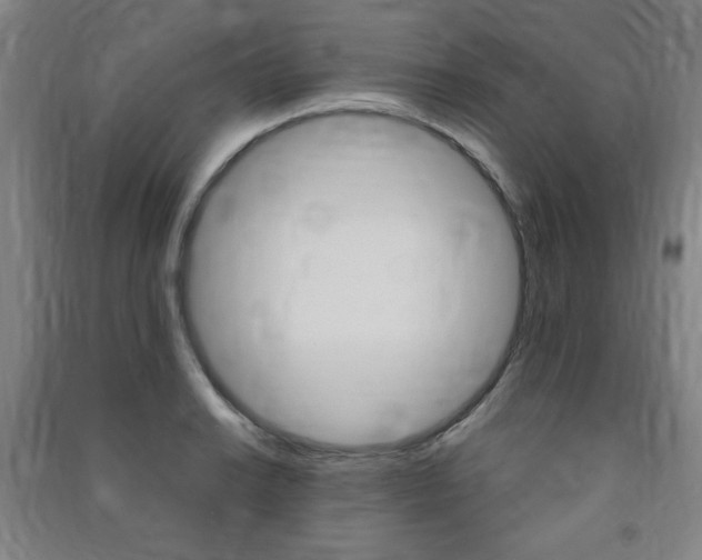 X0000091491038200708161206