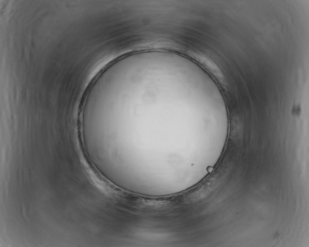 X0000091491039200708161206