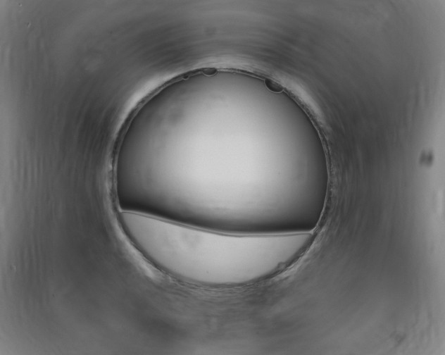 X0000091491040200708161206