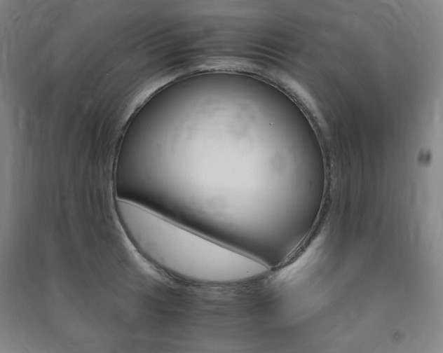X0000091491041200708161206