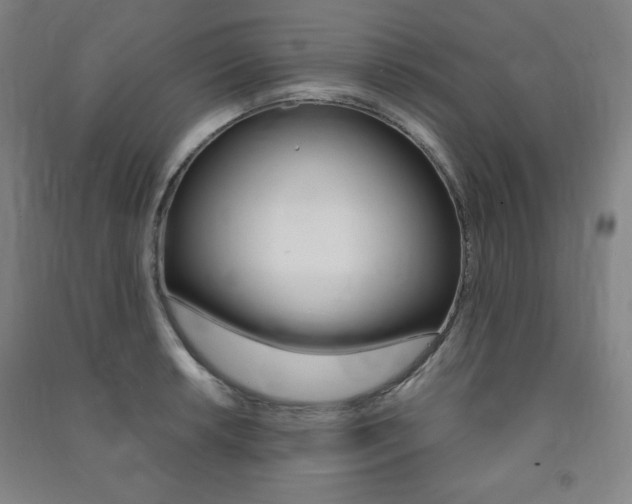 X0000091491042200708161206