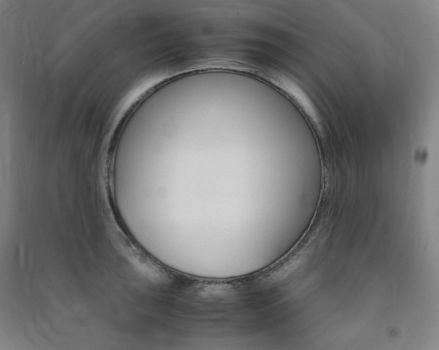 X0000091491043200708161206