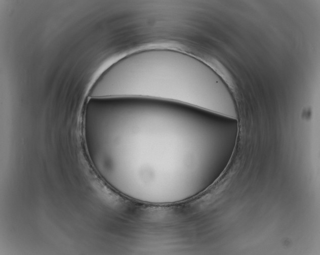 X0000091491044200708161206