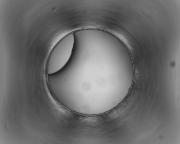 X0000091491047200708161206