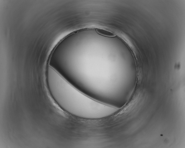 X0000091491048200708161206