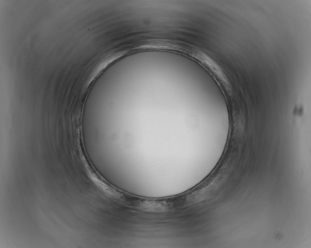 X0000091491049200708161206