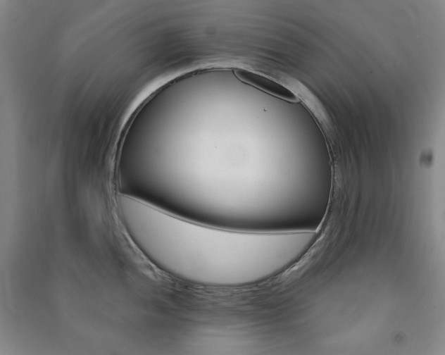 X0000091491052200708161206