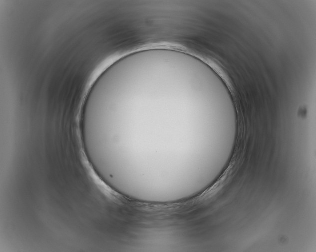 X0000091491054200708161206