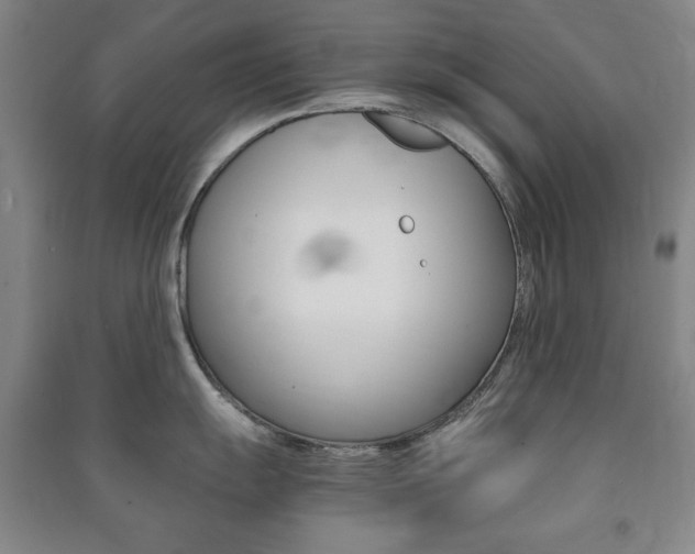 X0000091491055200708161206