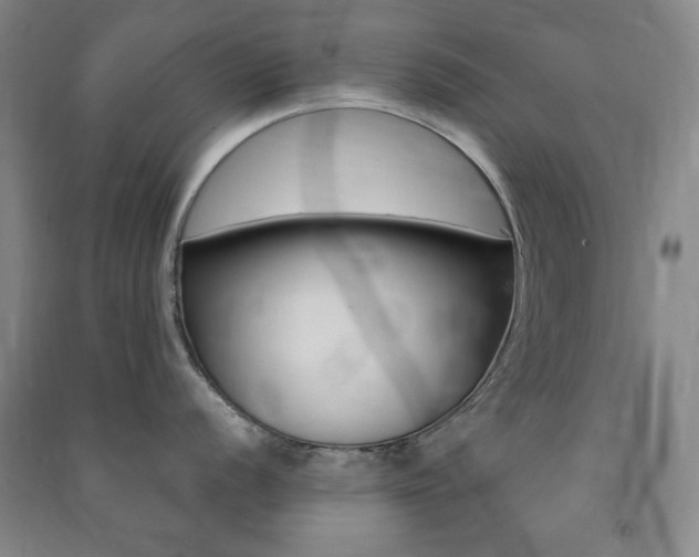 X0000091491056200708161206