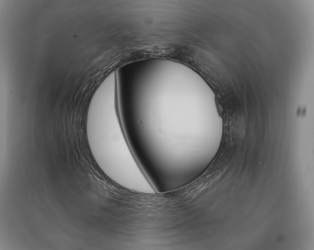 X0000091491058200708161205