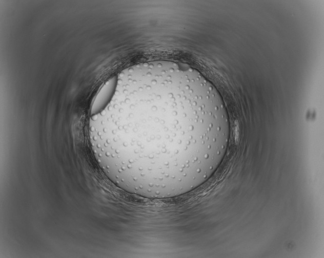 X0000091491059200708161205