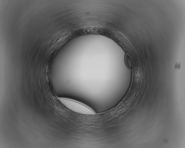 X0000091491060200708161205