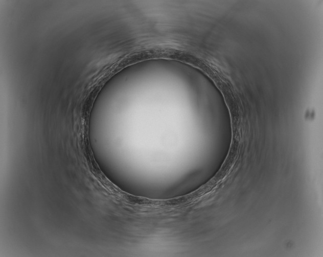 X0000091491061200708161205