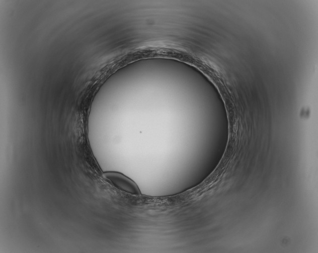 X0000091491062200708161205