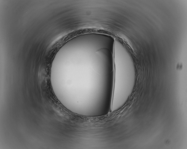 X0000091491064200708161205