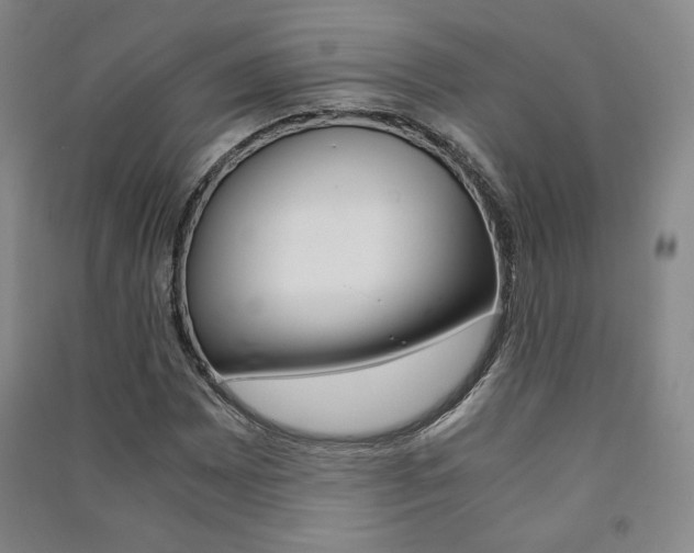 X0000091491065200708161205