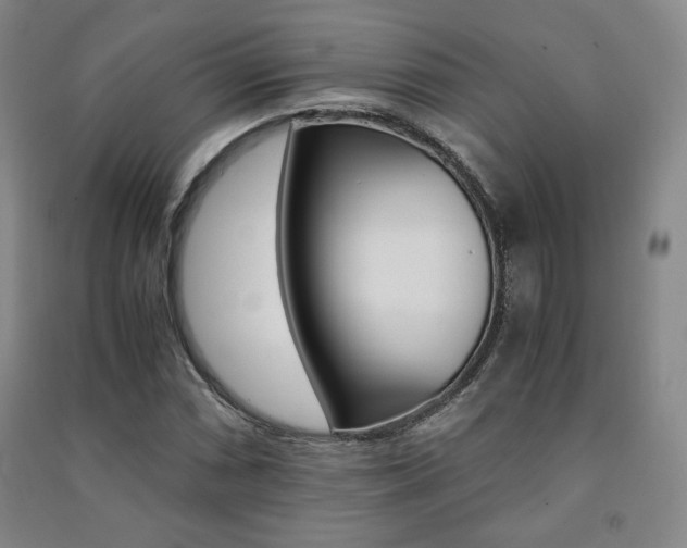 X0000091491066200708161205